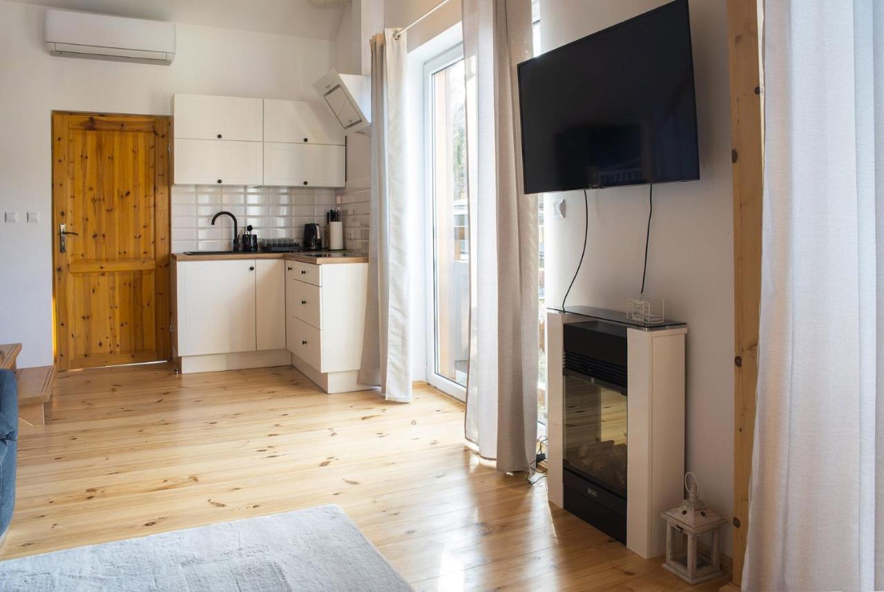 Apart-Invest Apartament Alter Ego Шклярська Поремба Екстер'єр фото